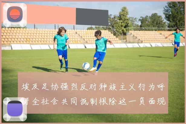 埃及足协强烈反对种族主义行为呼吁全社会共同抵制根除这一负面现象