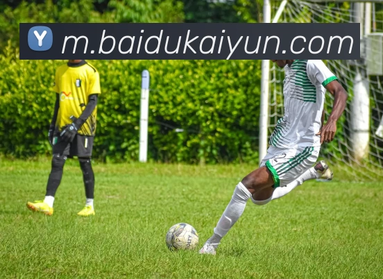 App Interface Preview