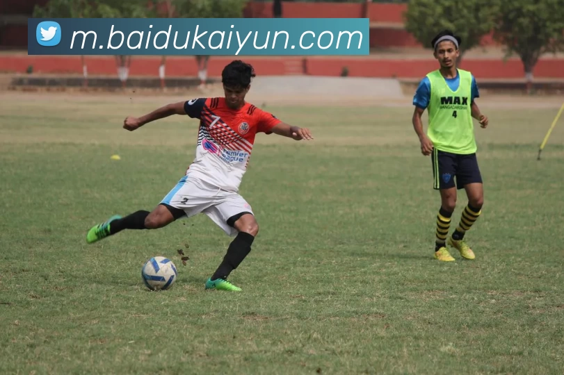 开云体育APP 封面图